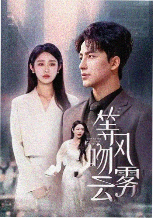 回声档案 木马ms笔趣阁刑侦剧集封面
